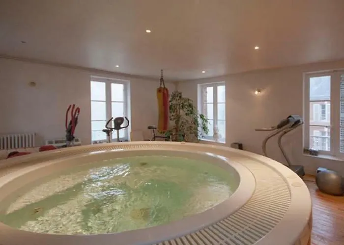 Chateau Du Landin לינה וארוחת בוקר 4*